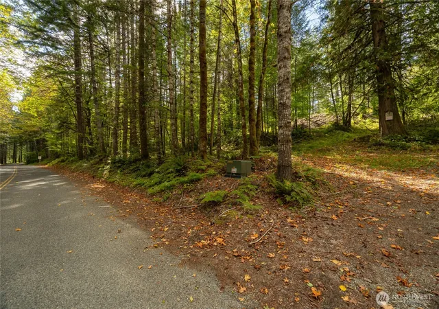 Photo 1 of Land for sale at 350 Craig Rd, Packwood, WA 98361 | MLS# NWM2586954 | Listing updated on 2026-09-28