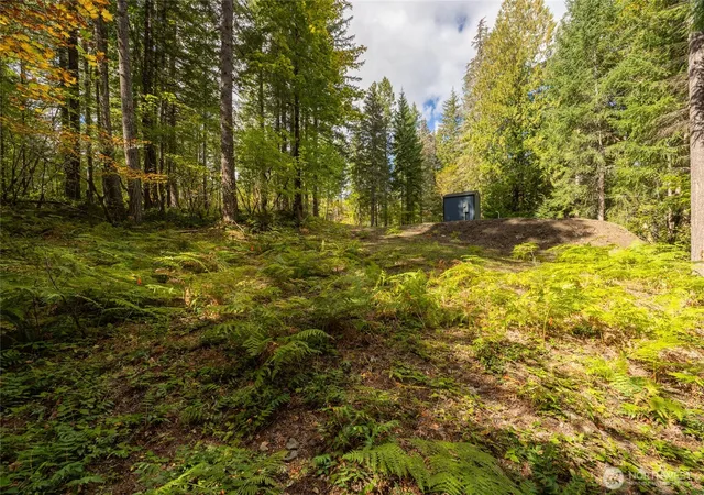 Photo 3 of Land for sale at 350 Craig Rd, Packwood, WA 98361 | MLS# NWM2586954 | Listing updated on 2026-09-28