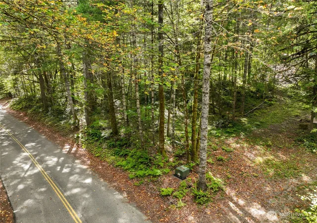 Photo 3 of Land for sale at 350 Craig Rd, Packwood, WA 98361 | MLS# NWM2586954 | Listing updated on 2026-09-28
