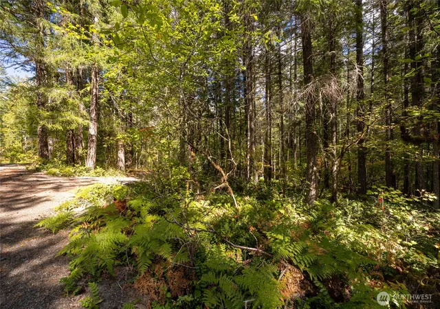 Photo 4 of Land for sale at 350 Craig Rd, Packwood, WA 98361 | MLS# NWM2586954 | Listing updated on 2026-09-28