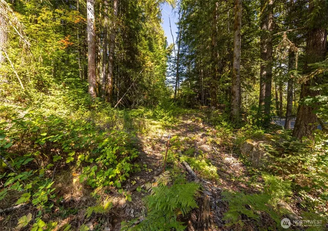 Photo 2 of Land for sale at 0 Lt 1&2 Skate Crk Rd S, Packwood, WA 98361 | MLS# NWM2586955 | Listing updated on 2026-09-26