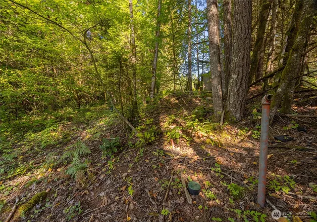 Photo 3 of Land for sale at 0 Lt 1&2 Skate Crk Rd S, Packwood, WA 98361 | MLS# NWM2586955 | Listing updated on 2026-09-26