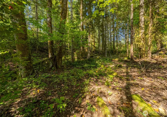 Photo 3 of Land for sale at 0 Lt 1&2 Skate Crk Rd S, Packwood, WA 98361 | MLS# NWM2586955 | Listing updated on 2026-09-26