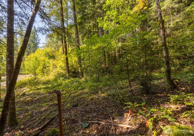 Photo 4 of Land for sale at 0 Lt 1&2 Skate Crk Rd S, Packwood, WA 98361 | MLS# NWM2586955 | Listing updated on 2026-09-26
