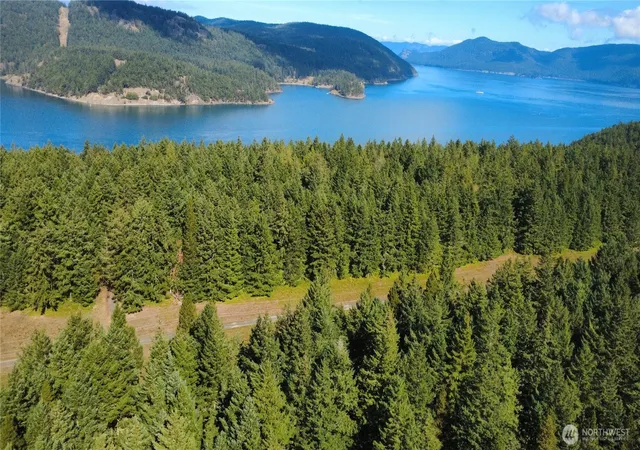 Land for sale at 0 Thatcher Pass Rd, Decatur Island, WA 98221 | MLS# NWM2586965