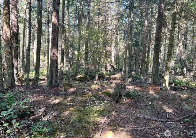 Photo 3 of Land for sale at 0 Thatcher Pass Rd, Decatur Island, WA 98221 | MLS# NWM2586965 | Listing updated on 2026-10-01