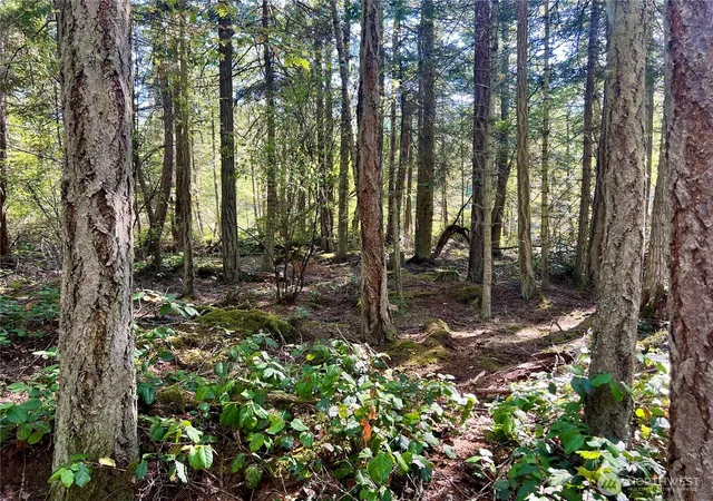 Photo 4 of Land for sale at 0 Thatcher Pass Rd, Decatur Island, WA 98221 | MLS# NWM2586965 | Listing updated on 2026-10-01