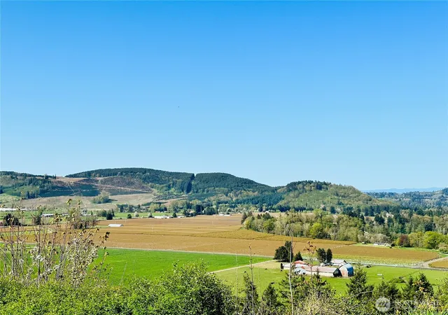 Photo 2 of Land for sale at 295 Degoede Dr, Mossyrock, WA 98564 | MLS# NWM2586994 | Listing updated on 2026-10-02