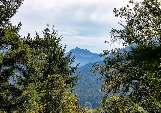 Photo 1 of Land for sale at 199 Hinkle Tinkle Ln, Packwood, WA 98361 | MLS# NWM2587124 | Listing updated on 2026-09-28