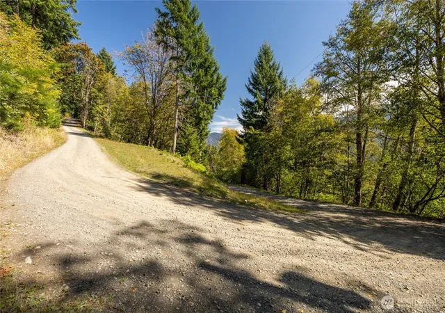 Photo 3 of Land for sale at 199 Hinkle Tinkle Ln, Packwood, WA 98361 | MLS# NWM2587124 | Listing updated on 2026-09-28