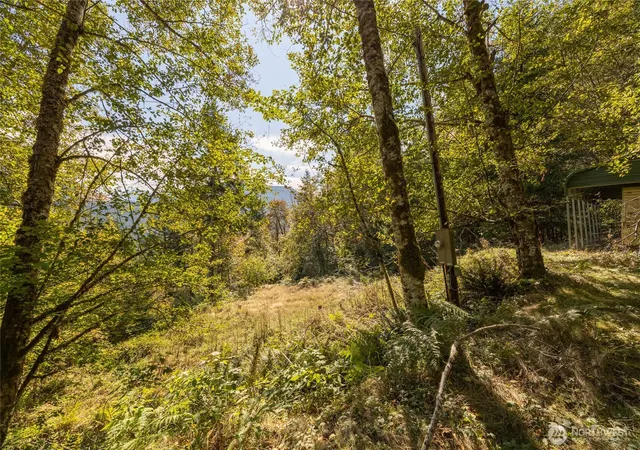Photo 3 of Land for sale at 199 Hinkle Tinkle Ln, Packwood, WA 98361 | MLS# NWM2587124 | Listing updated on 2026-09-28