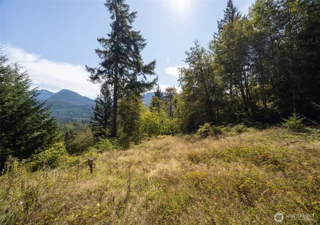 Photo 4 of Land for sale at 199 Hinkle Tinkle Ln, Packwood, WA 98361 | MLS# NWM2587124 | Listing updated on 2026-09-28