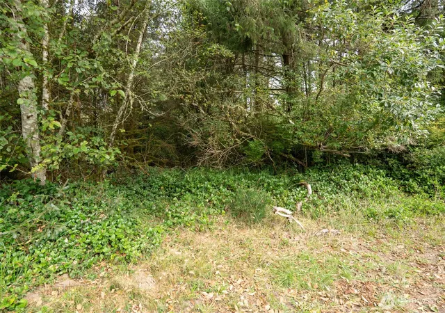 Photo 4 of Land for sale at 753 Duck Lake Dr SE, Ocean Shores, WA 98569 | MLS# NWM2587222 | Listing updated on 2026-09-24