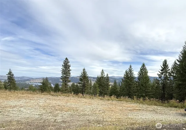 Photo 3 of Land for sale at 4 Lakeview Dr, Republic, WA 99166 | MLS# NWM2587227 | Listing updated on 2026-09-28