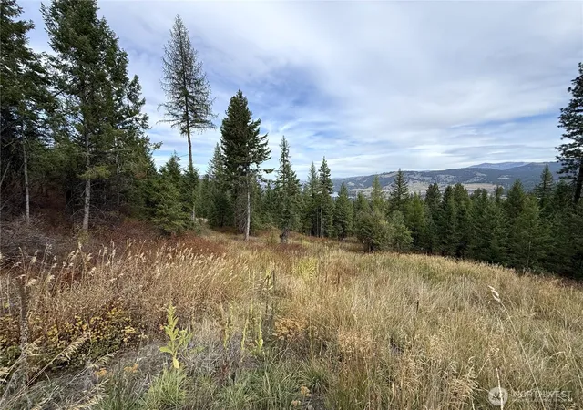 Photo 3 of Land for sale at 4 Lakeview Dr, Republic, WA 99166 | MLS# NWM2587227 | Listing updated on 2026-09-28