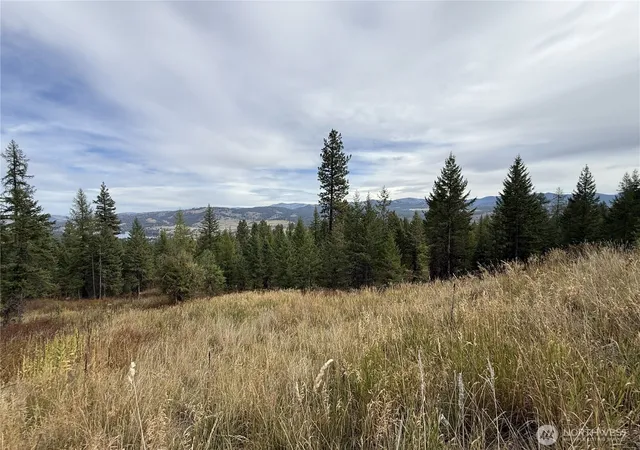Photo 4 of Land for sale at 4 Lakeview Dr, Republic, WA 99166 | MLS# NWM2587227 | Listing updated on 2026-09-28