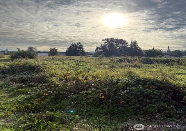 Photo 1 of Land for sale at 316 3rd Avenue N, Algona, WA 98001 | MLS# NWM2587239 | Listing updated on 2026-10-13