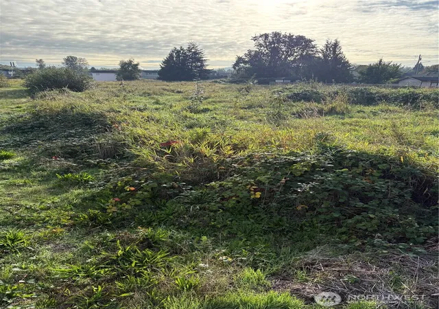 Photo 2 of Land for sale at 316 3rd Avenue N, Algona, WA 98001 | MLS# NWM2587239 | Listing updated on 2026-10-13