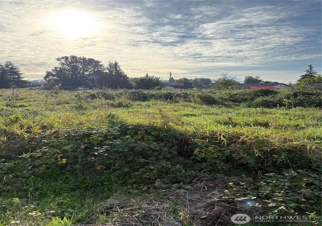 Photo 3 of Land for sale at 316 3rd Avenue N, Algona, WA 98001 | MLS# NWM2587239 | Listing updated on 2026-10-13