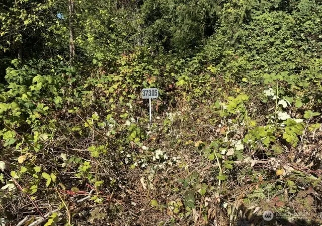 Photo 2 of Land for sale at 37305 34th Avenue S, Auburn, WA 98001 | MLS# NWM2587280 | Listing updated on 2026-09-24