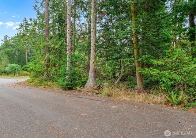Photo 2 of Land for sale at 4679 Kat Ln, Port Townsend, WA 98368 | MLS# NWM2587336 | Listing updated on 2026-10-03