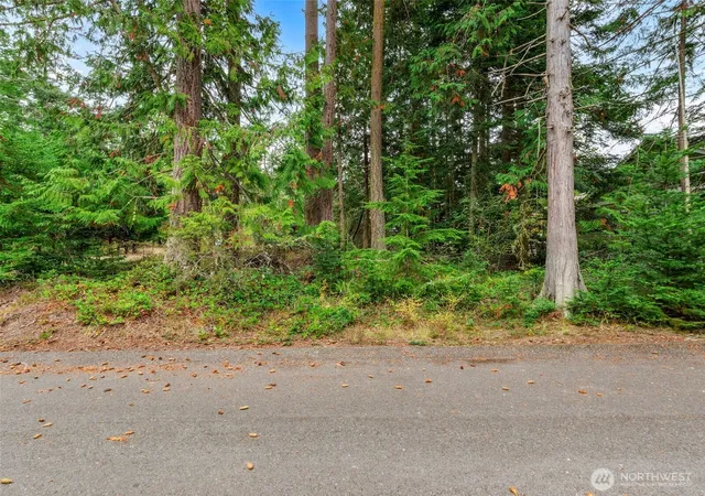 Photo 4 of Land for sale at 4679 Kat Ln, Port Townsend, WA 98368 | MLS# NWM2587336 | Listing updated on 2026-10-03