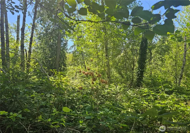 Photo 2 of Land for sale at 0 Mile Hl Dr Se, Port Orchard, WA 98366 | MLS# NWM2587425 | Listing updated on 2026-09-25