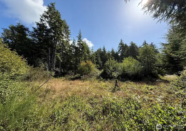 Land for sale at 3011 202nd Street, Ocean Park, WA 98640 | MLS# NWM2587451