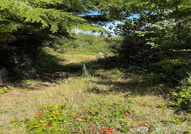 Photo 3 of Land for sale at 3011 202nd Street, Ocean Park, WA 98640 | MLS# NWM2587451 | Listing updated on 2026-09-26