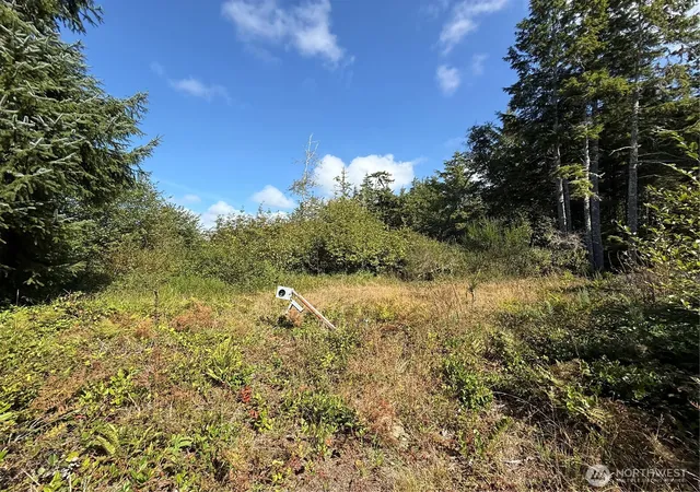 Photo 4 of Land for sale at 3011 202nd Street, Ocean Park, WA 98640 | MLS# NWM2587451 | Listing updated on 2026-09-26