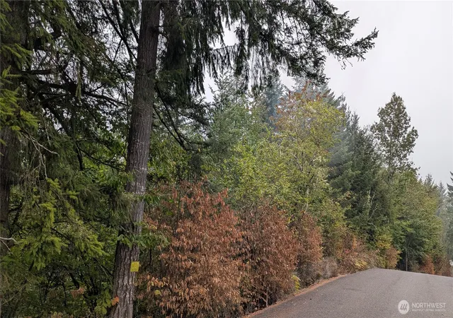 Land for sale at 0 Loop Rd, Centralia, WA 98531 | MLS# NWM2587503
