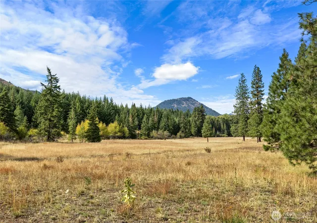 Land for sale at 27 Domerie Park Loop, Cle Elum, WA 98922 | MLS# NWM2587517
