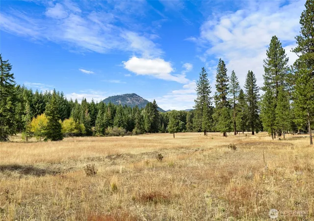 Photo 1 of Land for sale at 27 Domerie Park Loop, Cle Elum, WA 98922 | MLS# NWM2587517 | Listing updated on 2026-10-12