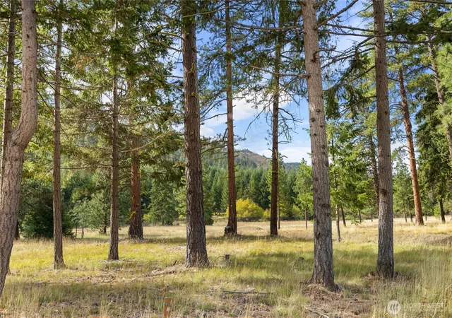 Photo 3 of Land for sale at 27 Domerie Park Loop, Cle Elum, WA 98922 | MLS# NWM2587517 | Listing updated on 2026-10-12