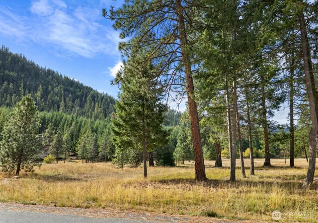Photo 4 of Land for sale at 27 Domerie Park Loop, Cle Elum, WA 98922 | MLS# NWM2587517 | Listing updated on 2026-10-12