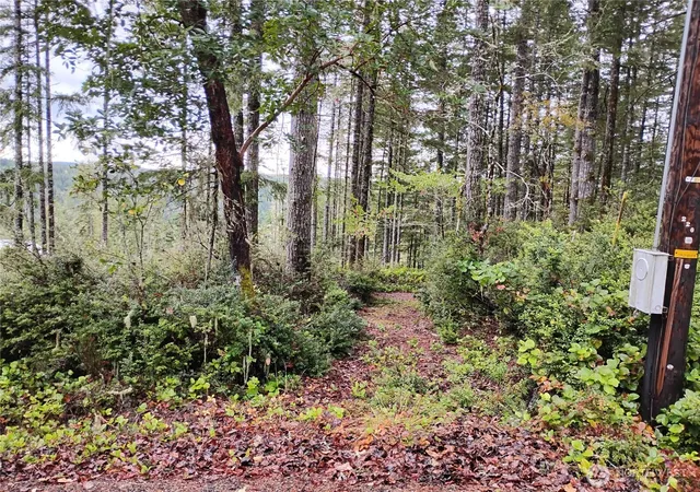 Land for sale at 240 NE Cedar Ln, Tahuya, WA 98588 | MLS# NWM2587595
