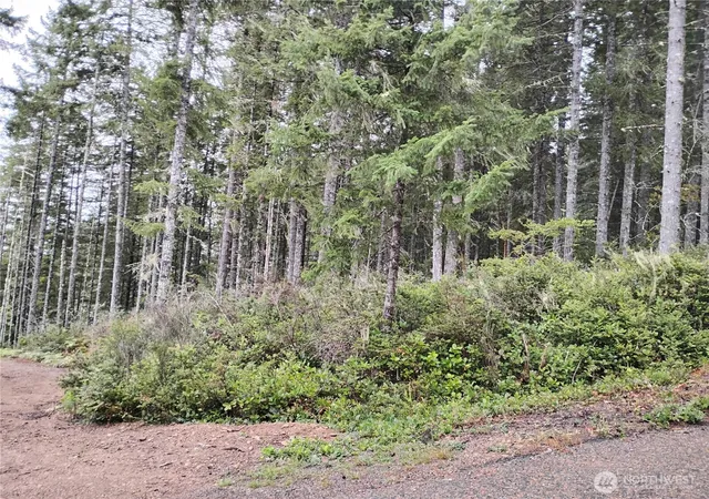 Photo 2 of Land for sale at 240 Ne Cedar Ln, Tahuya, WA 98588 | MLS# NWM2587595 | Listing updated on 2026-09-25