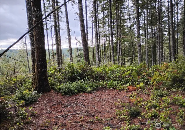 Photo 3 of Land for sale at 240 Ne Cedar Ln, Tahuya, WA 98588 | MLS# NWM2587595 | Listing updated on 2026-09-25