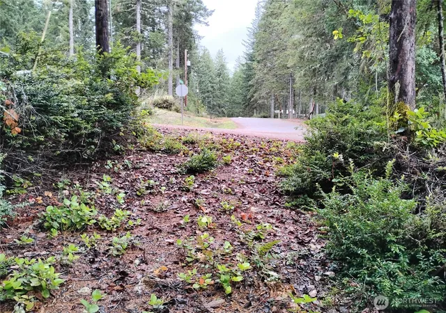 Photo 3 of Land for sale at 240 NE Cedar Ln, Tahuya, WA 98588 | MLS# NWM2587595 | Listing updated on 2026-09-25