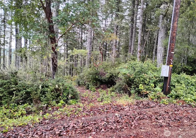 Photo 4 of Land for sale at 240 NE Cedar Ln, Tahuya, WA 98588 | MLS# NWM2587595 | Listing updated on 2026-09-25