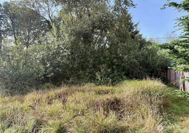 Photo 3 of Land for sale at 11 Xx Wheeler Ave, Tokeland, WA 98590 | MLS# NWM2587810 | Listing updated on 2026-09-28