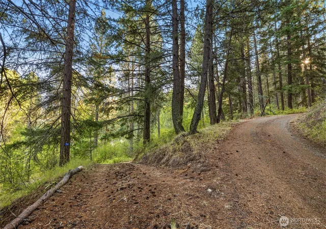 Photo 3 of Land for sale at 356 Swauk Crk Ln, Cle Elum, WA 98922 | MLS# NWM2587816 | Listing updated on 2026-09-25