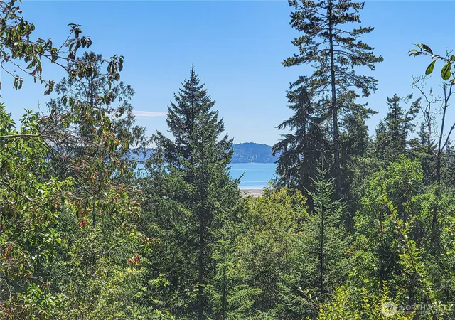 Photo 2 of Single family home for sale at 201 Mount Jupiter Rd, Brinnon, WA 98320 | MLS# NWM2587864 | Listing updated on 2026-09-26