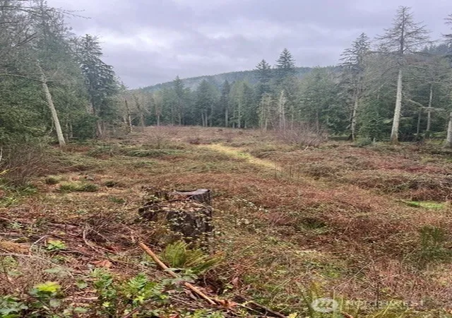 Land for sale at 27635 SE Mud Mountain Rd, Enumclaw, WA 98022 | MLS# NWM2587943