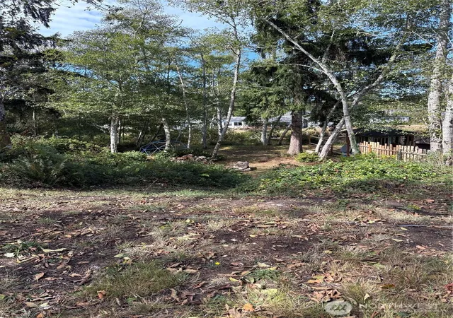 Photo 3 of Land for sale at 30211 X Pl, Ocean Park, WA 98640 | MLS# NWM2587991 | Listing updated on 2026-10-01