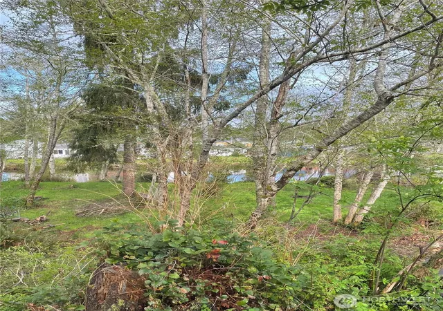 Photo 4 of Land for sale at 30211 X Pl, Ocean Park, WA 98640 | MLS# NWM2587991 | Listing updated on 2026-10-01