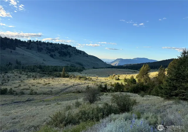 Photo 2 of Land for sale at 0 Chopaka Mountain Rd, Loomis, WA 98827 | MLS# NWM2588112 | Listing updated on 2026-09-28