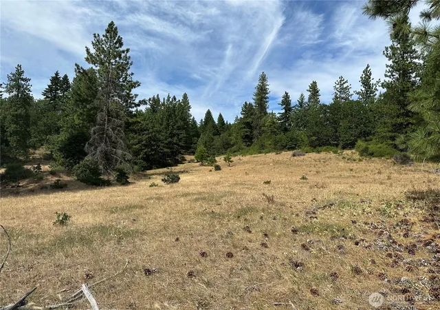 Photo 3 of Land for sale at 0 Lot 27 Greyback Mt Rd, Goldendale, WA 98620 | MLS# NWM2588204 | Listing updated on 2026-09-28