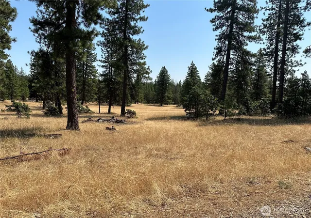 Photo 1 of Land for sale at 0 Lot 13 Greyback Mt Rd, Goldendale, WA 98620 | MLS# NWM2588210 | Listing updated on 2026-09-28