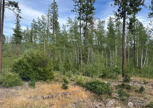 Photo 1 of Land for sale at 0 Lot 5 Greyback Mt Rd, Goldendale, WA 98620 | MLS# NWM2588214 | Listing updated on 2026-09-28